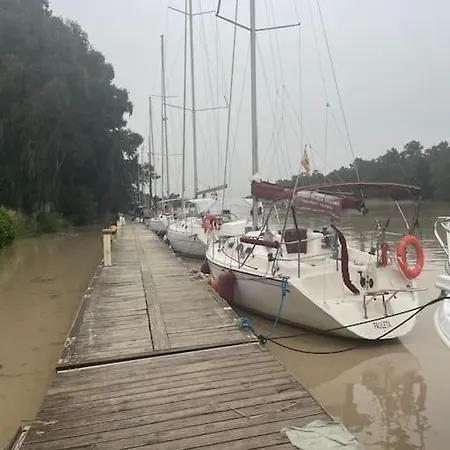 Atico Arriba Del Guadalquivir *
