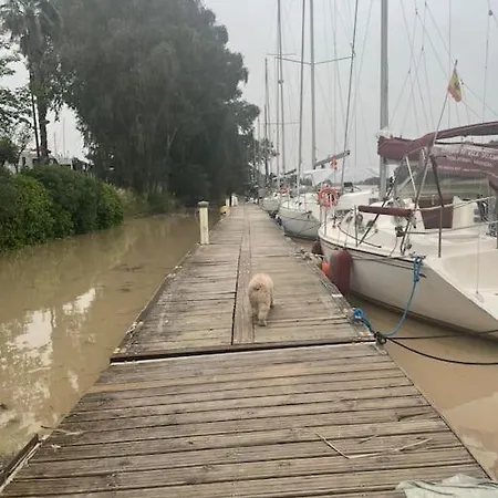 Atico Arriba Del Guadalquivir Gelves