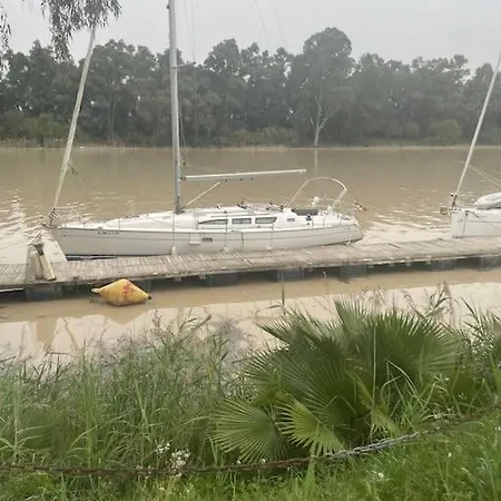 Atico Arriba Del Guadalquivir Gelves